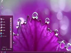 紫色水润花瓣植物桌面主题